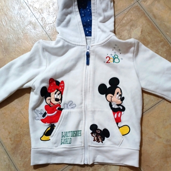 Walt Disney hoodie - Picture 1 of 10